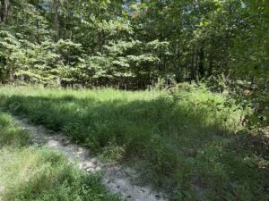 Property photo for land for sale in Casey County Kentucky