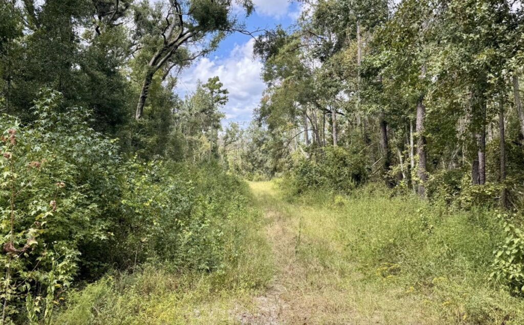 Property photo for land for sale in Hamilton County Florida