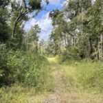 Property photo for land for sale in Hamilton County Florida