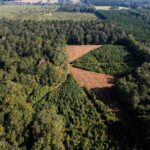 Property photo for land for sale in Amite County Mississippi