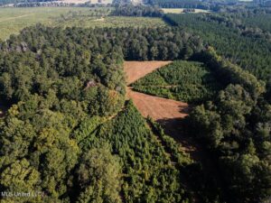 Property photo for land for sale in Amite County Mississippi