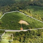 Property photo for land for sale in Mecklenburg County Virginia
