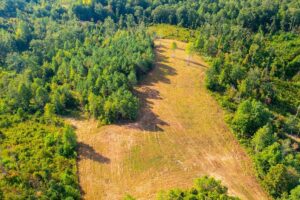 Property photo for land for sale in Lewis County Tennessee