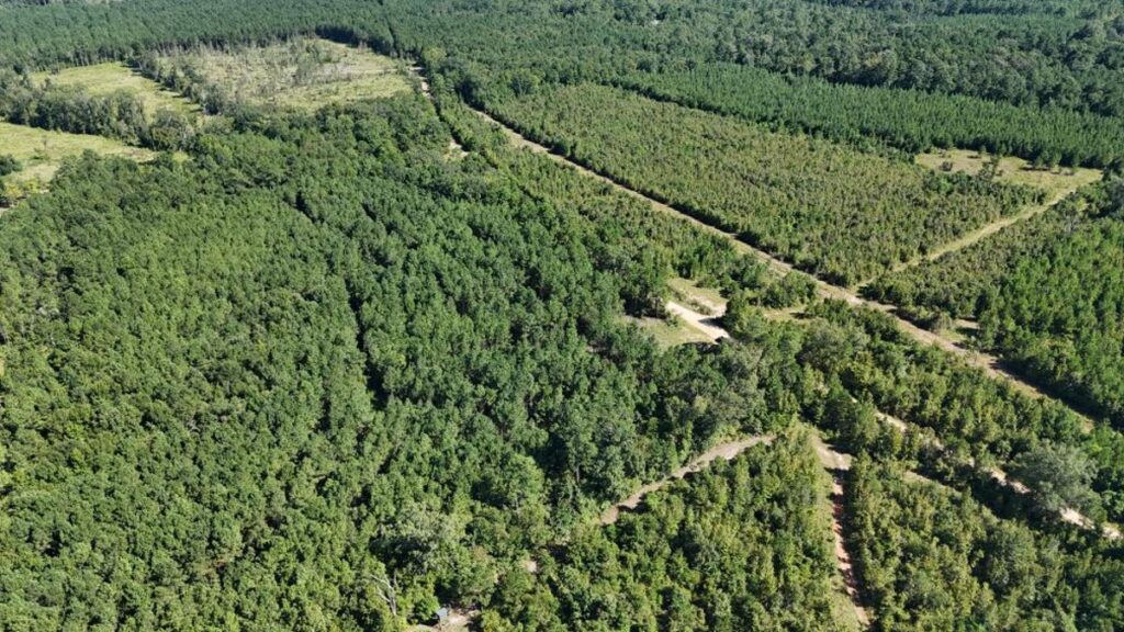 Property photo for land for sale in Union County Louisiana