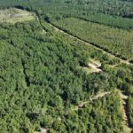 Property photo for land for sale in Union County Louisiana