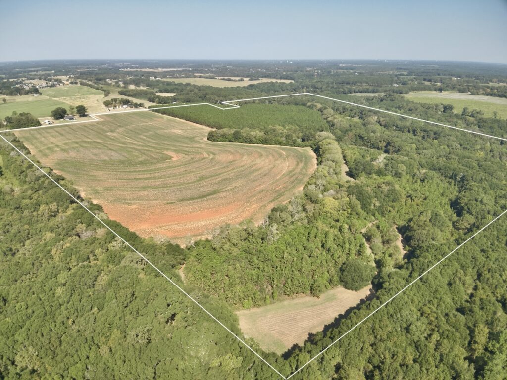Property photo for land for sale in Dale County Alabama