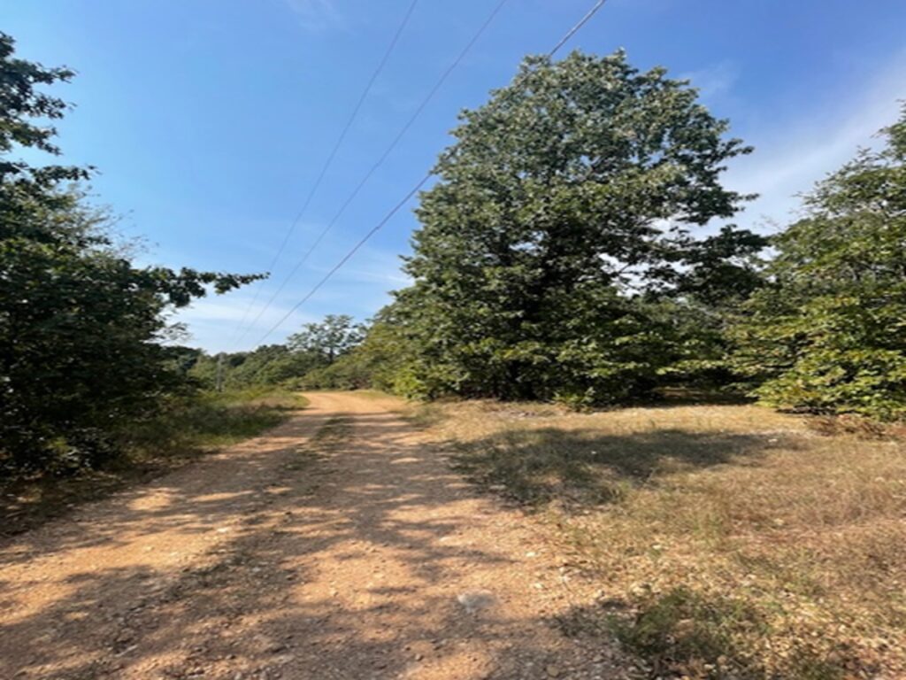 Property photo for land for sale in Marion County Arkansas
