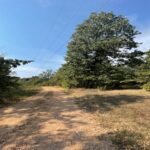 Property photo for land for sale in Marion County Arkansas