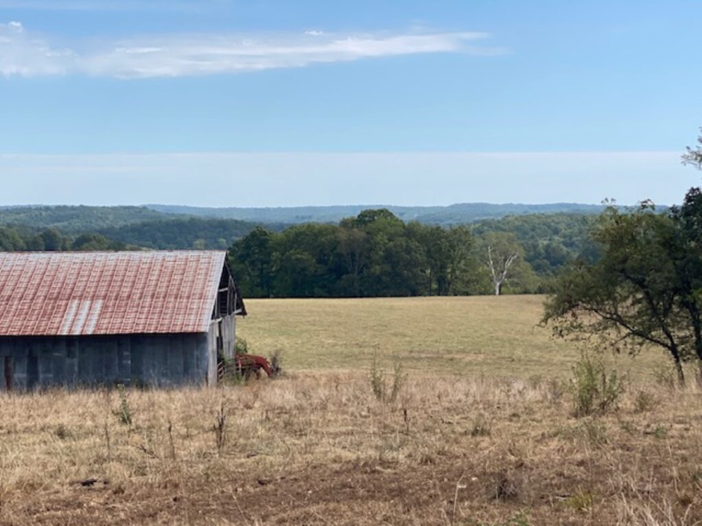 Property photo for land for sale in Douglas County Missouri