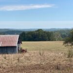 Property photo for land for sale in Douglas County Missouri