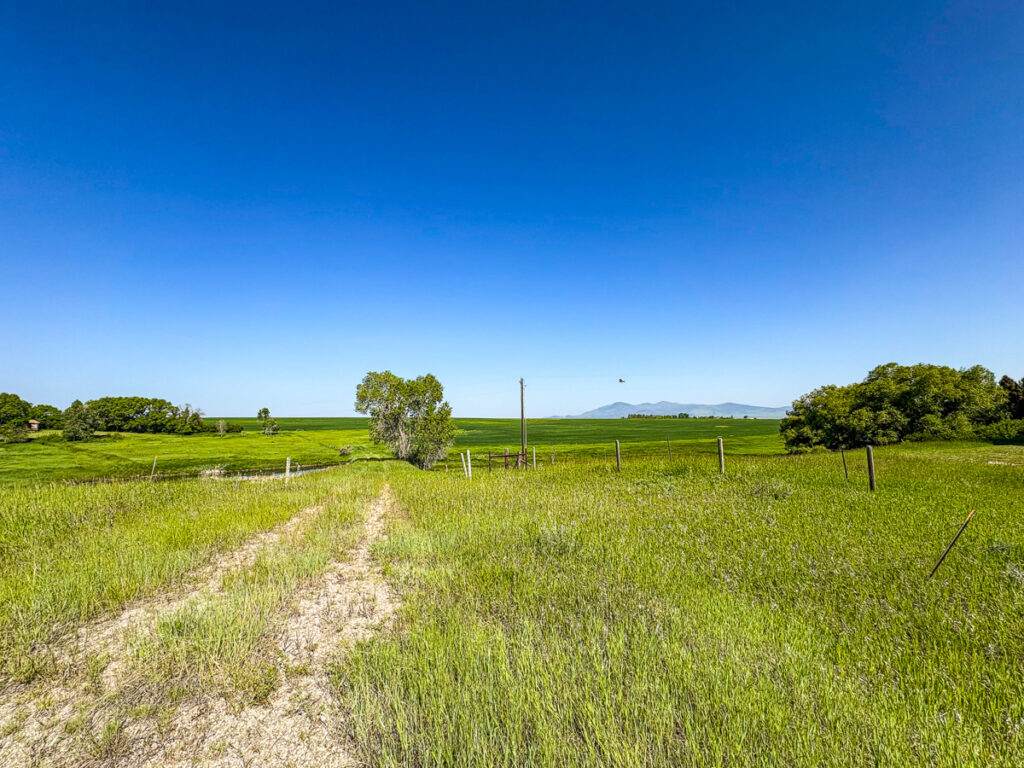 Property photo for land for sale in Fergus County Montana