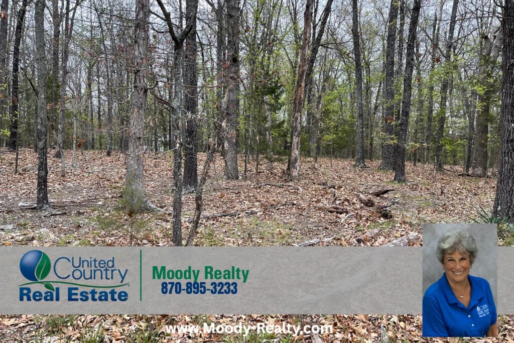 Property photo for land for sale in Izard County Arkansas