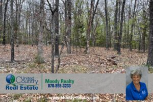 Property photo for land for sale in Izard County Arkansas