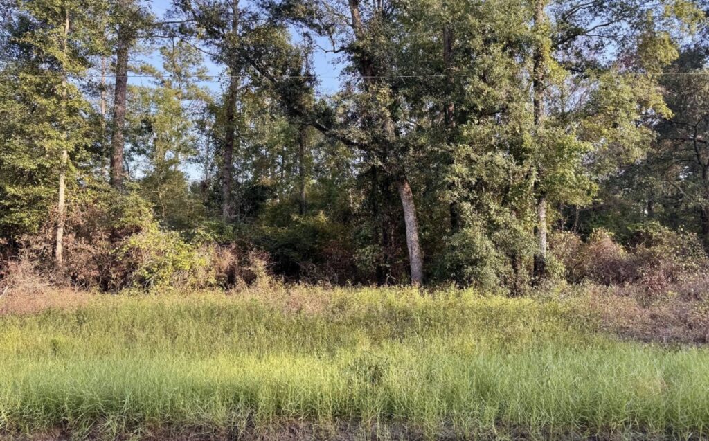 Property photo for land for sale in Hamilton County Florida