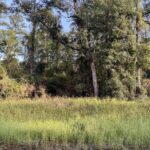 Property photo for land for sale in Hamilton County Florida