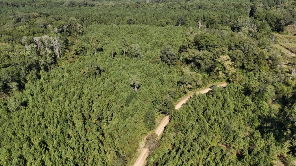 Property photo for land for sale in County Louisiana