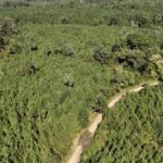 Property photo for land for sale in  County Louisiana