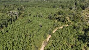 Property photo for land for sale in  County Louisiana