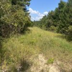Property photo for land for sale in Cass County Texas