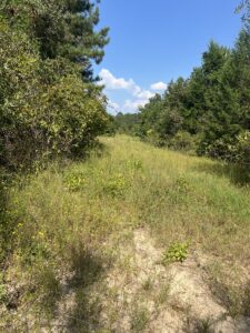 Property photo for land for sale in Cass County Texas