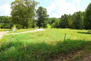 Property photo for land for sale in Metcalfe County Kentucky