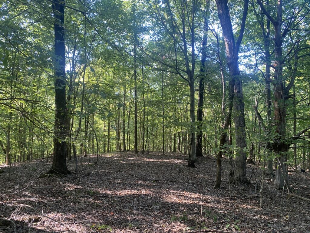 Property photo for land for sale in Hardin County Tennessee
