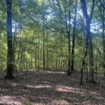Property photo for land for sale in Hardin County Tennessee