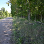 Property photo for land for sale in Isabella County Michigan