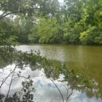 Property photo for land for sale in Halifax County Virginia