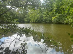 Property photo for land for sale in Halifax County Virginia