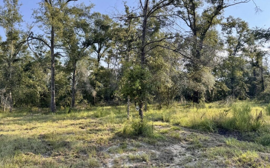 Property photo for land for sale in Hamilton County Florida