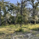 Property photo for land for sale in Hamilton County Florida