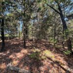 Property photo for land for sale in White County Arkansas