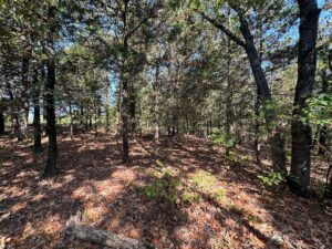 Property photo for land for sale in White County Arkansas