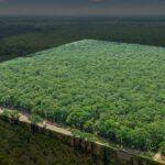 Property photo for land for sale in Red River County Texas