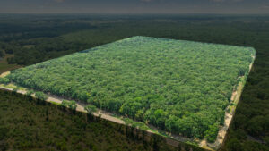 Property photo for land for sale in Red River County Texas