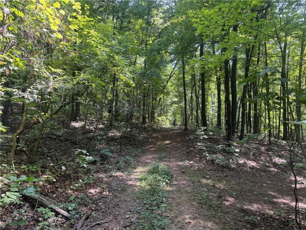 Property photo for land for sale in Madison County Arkansas