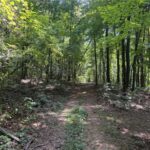 Property photo for land for sale in Madison County Arkansas