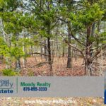 Property photo for land for sale in Izard County Arkansas