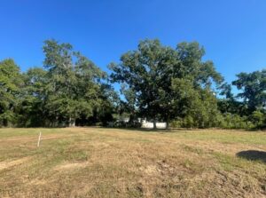 Property photo for land for sale in Chesterfield County South Carolina