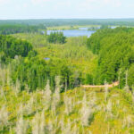 Property photo for land for sale in Sawyer County Wisconsin