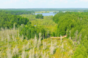 Property photo for land for sale in Sawyer County Wisconsin