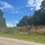 Property photo for land for sale in Forrest County Mississippi