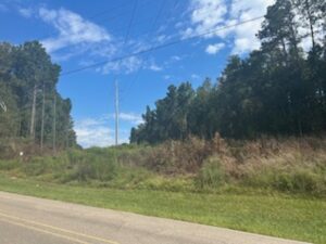 Property photo for land for sale in Forrest County Mississippi