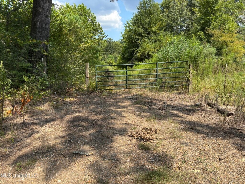 Property photo for land for sale in Hinds County Mississippi