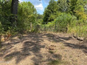 Property photo for land for sale in Hinds County Mississippi