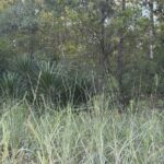 Property photo for land for sale in Gilchrist County Florida