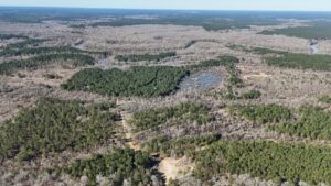 Property photo for land for sale in La Salle County Louisiana