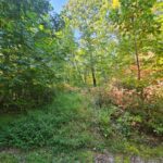 Property photo for land for sale in Tazewell County Virginia