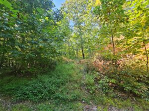 Property photo for land for sale in Tazewell County Virginia